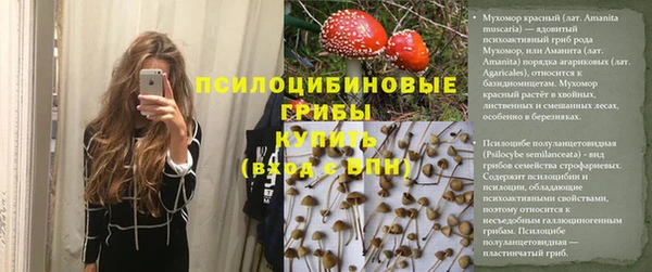 круглые Абаза