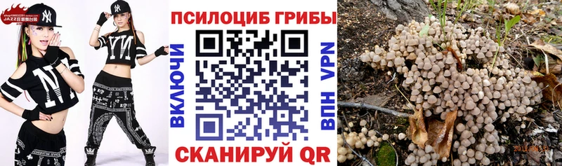 Псилоцибиновые грибы MAGIC MUSHROOMS  Омск 
